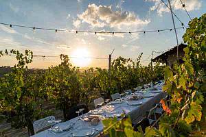 La luna e il ciabot cena in vigna di fine estate tra i filari